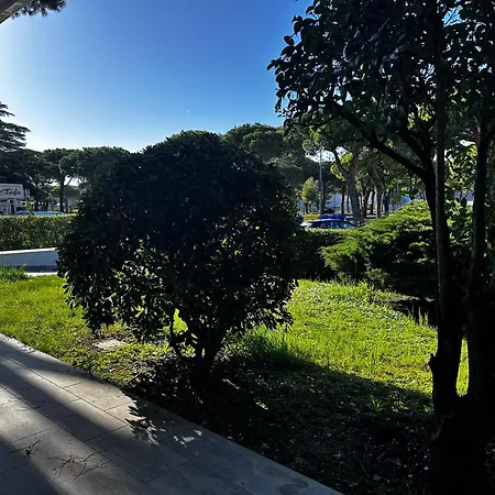 Garden *