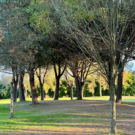 Garden *